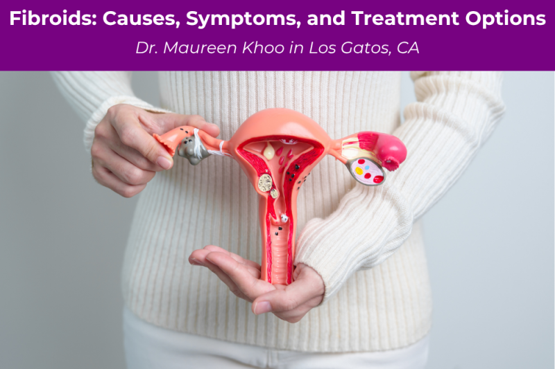 Fibroids Causes, Symptoms, and Treatment Options